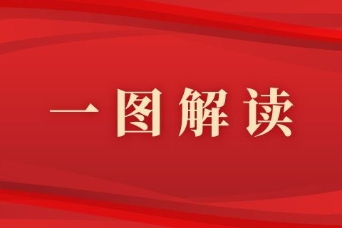 一图解读《教育强国建设规划纲要（2024－2035年）》